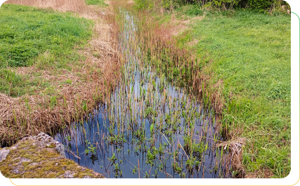 Together for Paludiculture